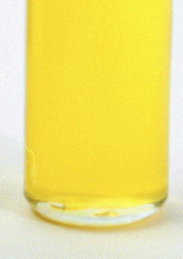 2x Unscented Body Oil